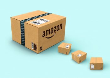 Envió accidentalmente a su gata en un paquete de devolución de Amazon