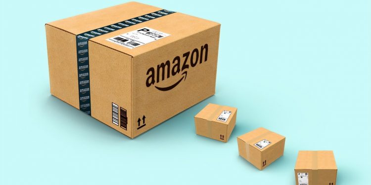 Envió accidentalmente a su gata en un paquete de devolución de Amazon