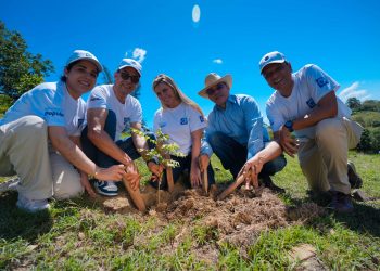 Banco Popular siembra más de 8,000 plantas en Plan Sierra