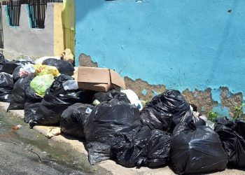 Basureros siguen afectando sectores de Santiago; temen brotes enfermedades