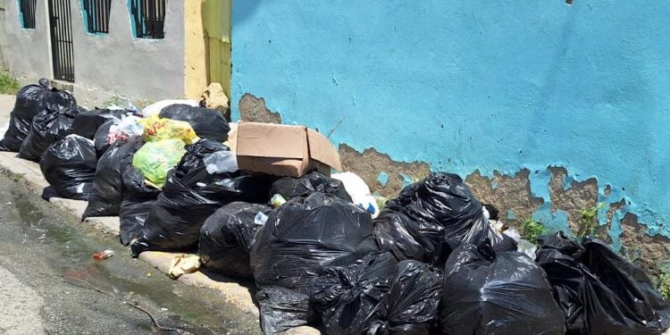 Basureros siguen afectando sectores de Santiago; temen brotes enfermedades