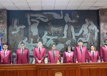 TC deja en estado de fallo quince expedientes de acción directa de inconstitucionalidad durante audiencia pública