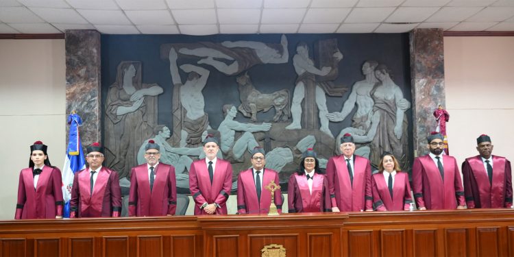 TC deja en estado de fallo quince expedientes de acción directa de inconstitucionalidad durante audiencia pública