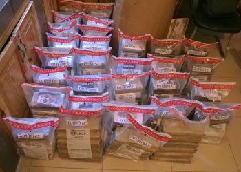 Frustran envío de 180 paquetes presumiblemente cocaína a España camuflados en carga de frutas