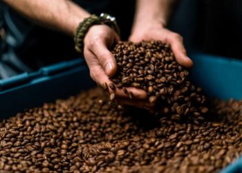 ¿Es más sano tomar café soluble o café molido? Descubre cuál tiene más cafeína