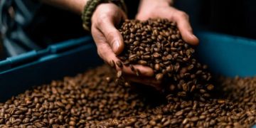 ¿Es más sano tomar café soluble o café molido? Descubre cuál tiene más cafeína