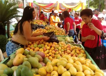 Mercedes Castillo anuncia Tour Turístico Cultural a la Expo Mango Bani, 2024