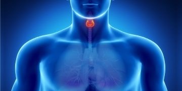 Tiroides, ¿cuál es la diferencia entre hipotiroidismo e hipertiroidismo?