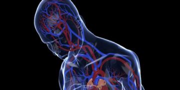 ¿Por qué las personas con depresión tienen más riesgo cardiovascular?