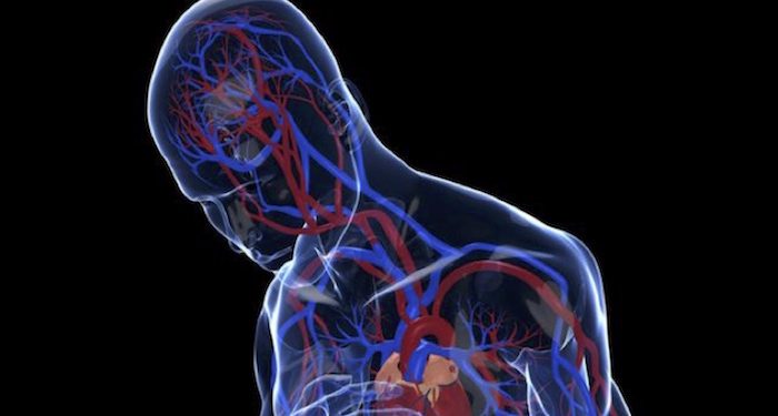 ¿Por qué las personas con depresión tienen más riesgo cardiovascular?