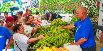 Inespre inicia compra 14 millones de plátanos a productores afectados por ventarrón en Salcedo, Villa Tapia, Moca y La Vega