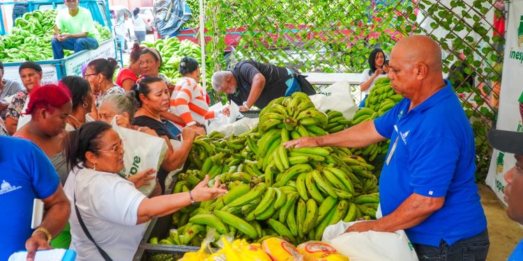 Inespre inicia compra 14 millones de plátanos a productores afectados por ventarrón en Salcedo, Villa Tapia, Moca y La Vega