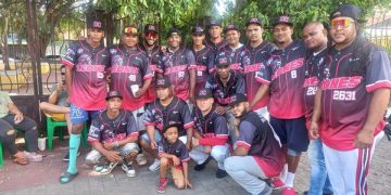Leones de Domingo Cremallera en Softbol interempresarial 