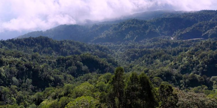 República Dominicana logra que la Unesco declare la Reserva de Biosfera Madre de las Aguas