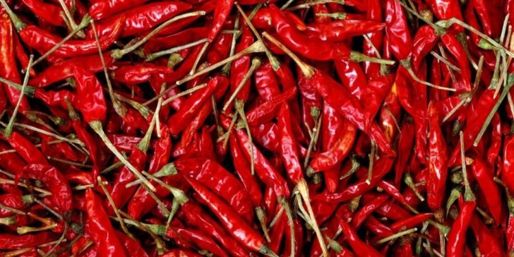 Investigadores de Harvard destacan un alimento clave para la longevidad