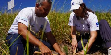 Voluntarios de Banco Popular siembran 4,300 árboles en Plan Sierra