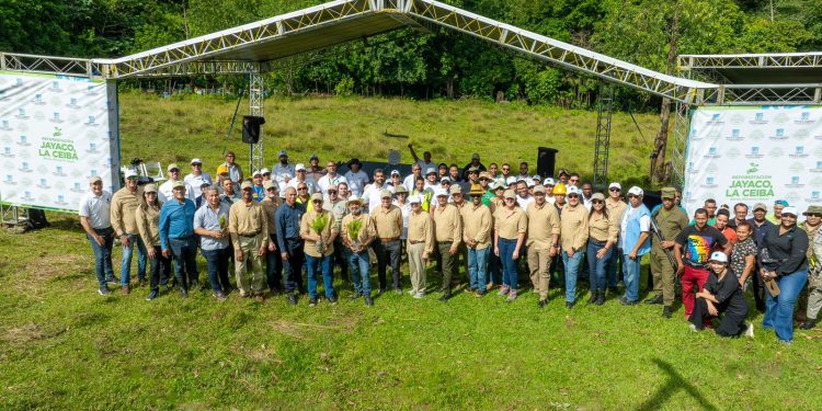 ETED: Transporte de energía y compromiso ambiental con la recuperación de bosques
