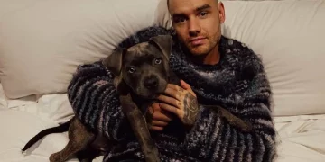Giro sorprendente: un video presenta una nueva versión de los hechos relacionados con Liam Payne
