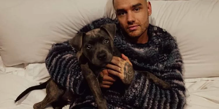 Giro sorprendente: un video presenta una nueva versión de los hechos relacionados con Liam Payne