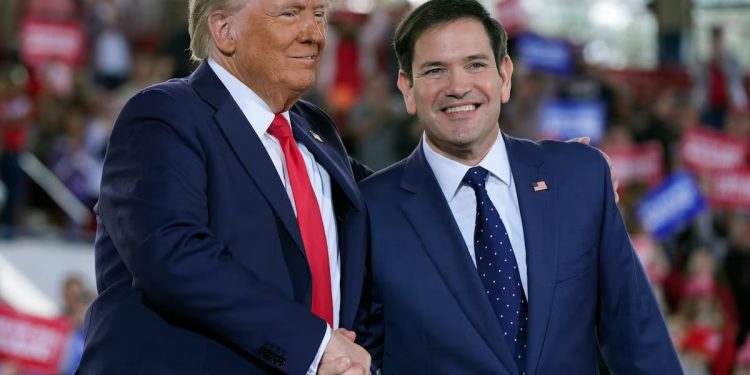 Marco Rubio nombrado secretario de Estado por Donald Trump