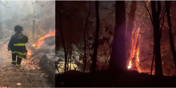 Bomberos combaten incendios en parques del Alto Manhattan, generando preocupación comunitaria