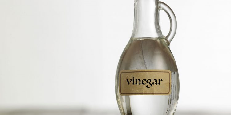 ¿Qué le sucede al cuerpo al consumir vinagre diariamente?