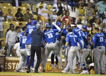 Tigres eliminan a las Águilas con jonrón de Andújar