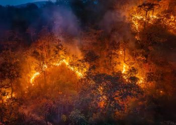 Incendios en California: Factores que impulsaron su rápida propagación