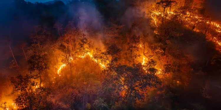 Incendios en California: Factores que impulsaron su rápida propagación