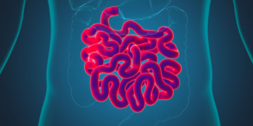 El ácido butírico: un aliado esencial para la salud intestinal