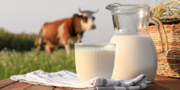 De vaca, de cabra o vegetal: Explorando la leche más saludable