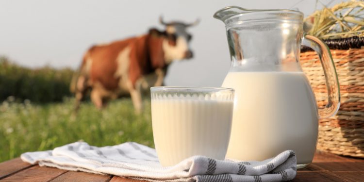 De vaca, de cabra o vegetal: Explorando la leche más saludable