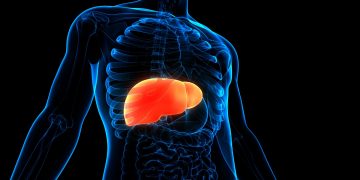 Las estatinas podrían reducir el riesgo de cáncer de hígado, según un nuevo estudio