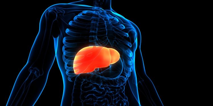 Las estatinas podrían reducir el riesgo de cáncer de hígado, según un nuevo estudio