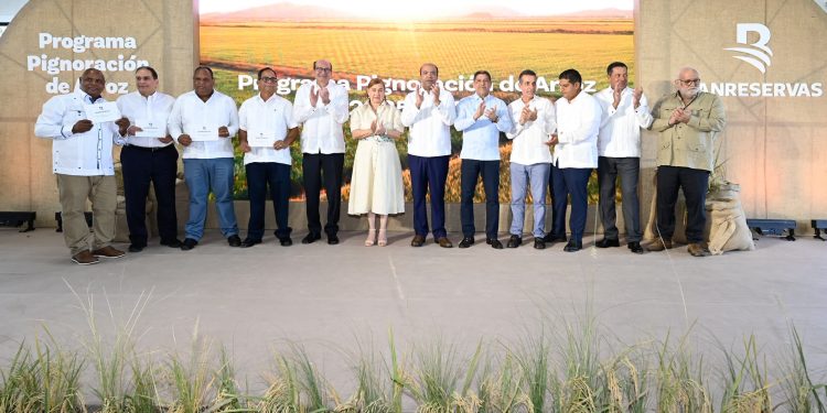 Banreservas dispone RD$12,000 millones para financiar cosecha de arroz 2025-2026 a una tasa preferencial de 7%
