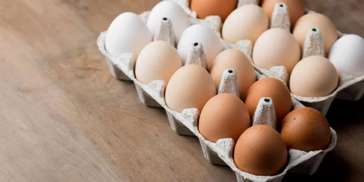 Huevos: ¿Mito o realidad sobre el colesterol y la salud?