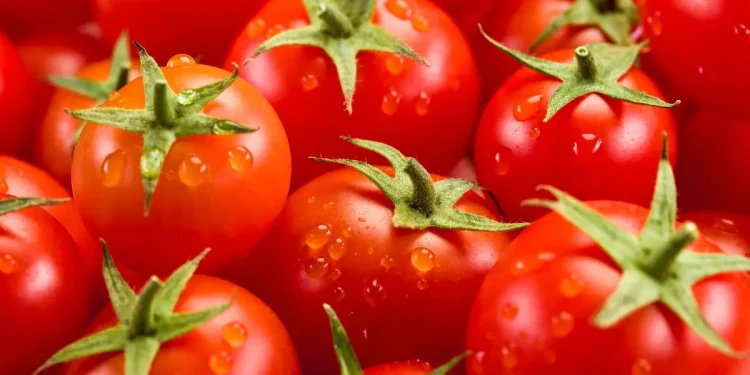 El tomate, un aliado contra el cáncer: así debes consumirlo, según la ciencia