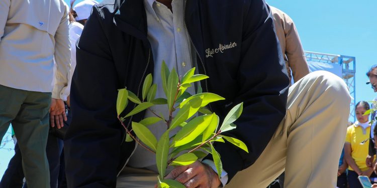 Presidente Abinader lidera siembra de 3,200 plantas endémicas para reordenamiento de la cuenca del Yaque del Norte