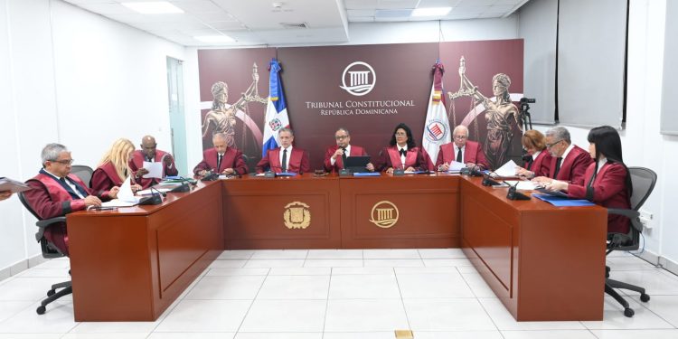TC deja en estado de fallo doce expedientes de acción directa de inconstitucionalidad
