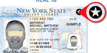 TSA permitirá volar sin REAL ID después 7 de mayo; pasajeros podrían ser desviados a diferentes líneas