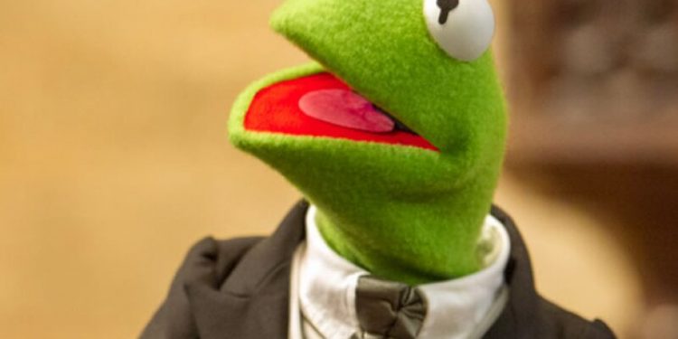 Descubren en Costa Rica una rana “idéntica” a la Rana René de los Muppets