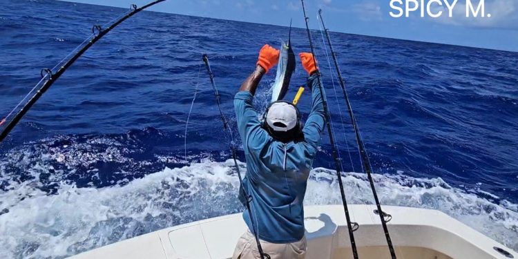 Hook Up y Delta Down dominan la competencia en la segunda jornada del Torneo Internacional al Marlin Blanco