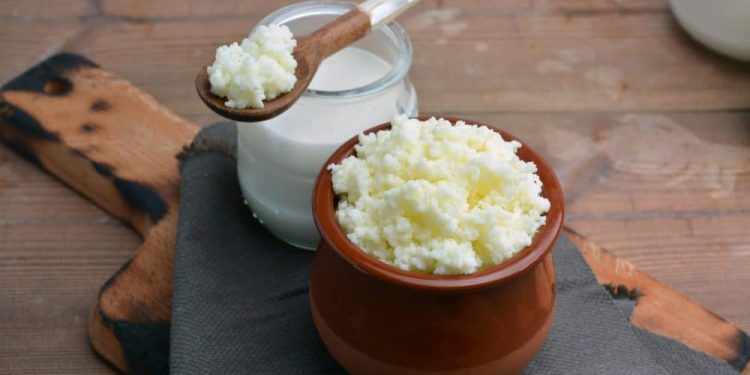 El kéfir, el aliado probiótico que combate el estreñimiento y fortalece la salud intestinal