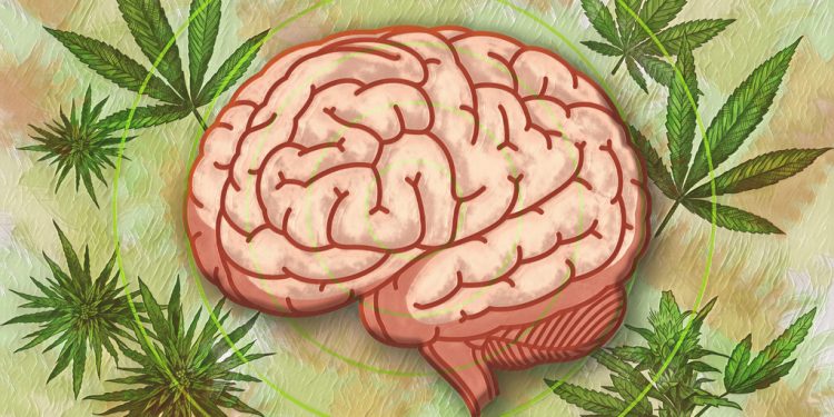 El consumo habitual de cannabis duplica el riesgo de muerte cardiovascular, según nuevas evidencias científicas