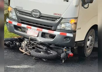 Chofer de camión arrolló agente NYPD es dominicano