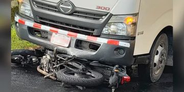 Chofer de camión arrolló agente NYPD es dominicano