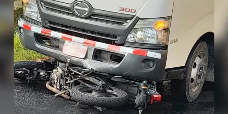 Chofer de camión arrolló agente NYPD es dominicano