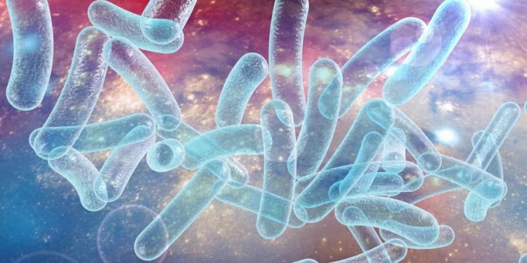 Tres fallecimientos y 67 enfermos por virus Legionario en sector Harlem; residen dominicanos