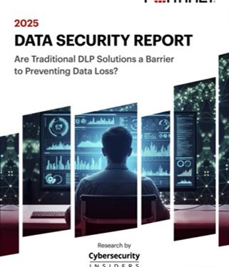 La paradoja de la ciberseguridad: más inversión, más pérdidas de datos