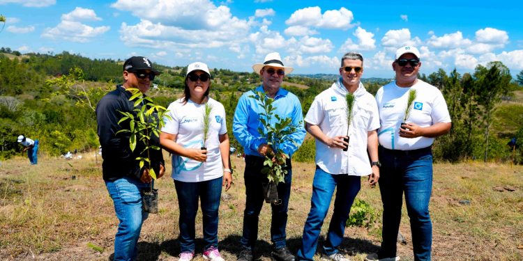 Grupo Popular impulsa reforestación en la Cordillera Central junto al Plan Sierra